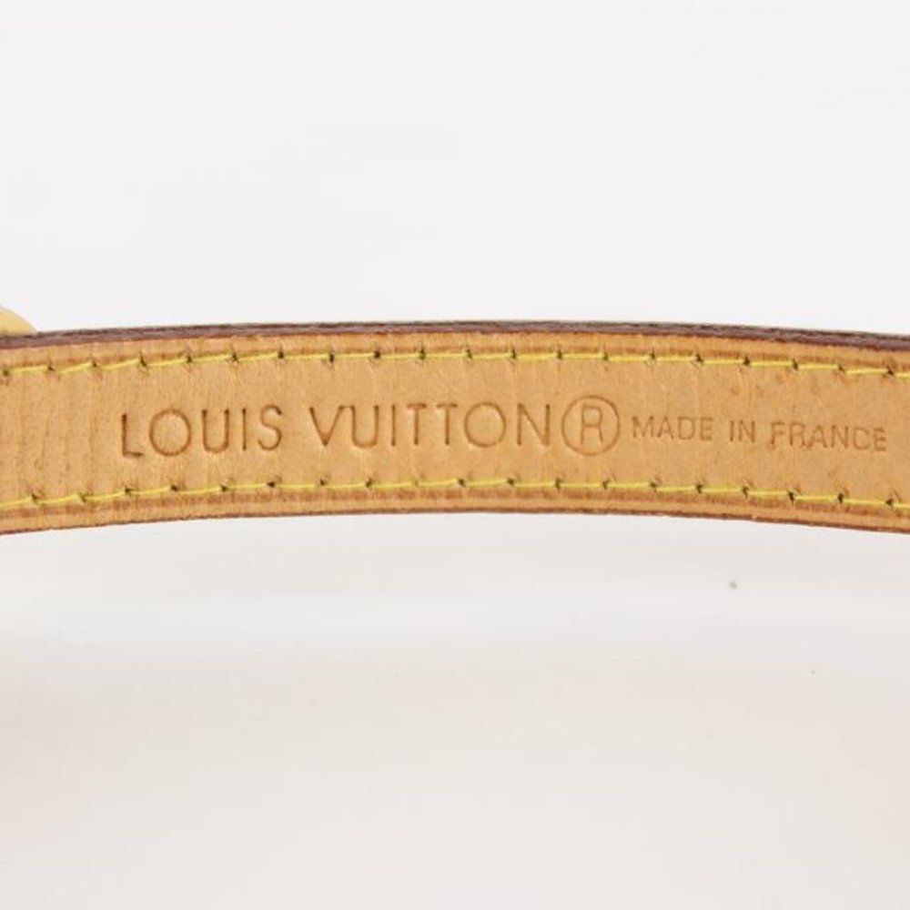 Louis Vuitton Multicolor Vernis Fleur x Vachetta - Picture 5 of 12